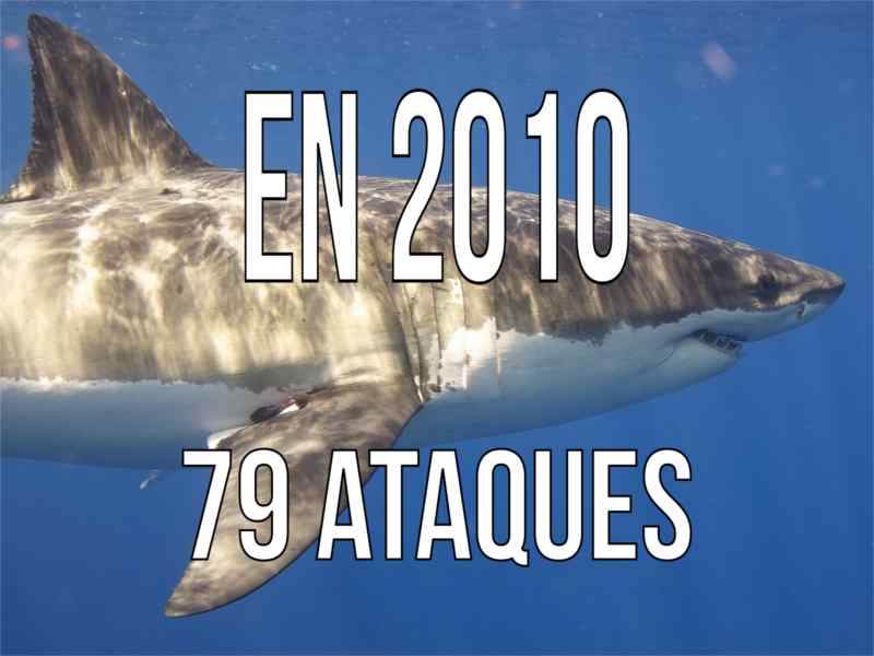 El 79 ataques de tiburón en 2010